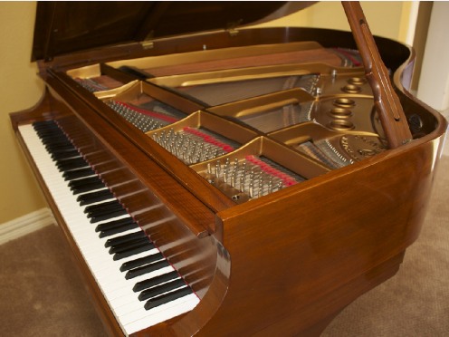 Perfect Gift for a Pianist